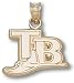 Tampa Bay Rays 