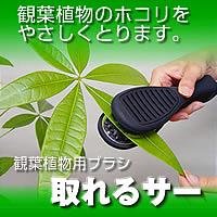 観葉植物用ブラシ「取れるサー」