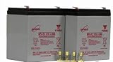Estate Swing 24 Volt Battery Kit (24VKIT)