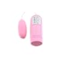 Inner Desire Love Egg And Controller