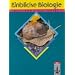 Einblicke Biologie - Ausgabe Rheinland-Pfalz für Hauptschulen: Einblicke Biologie, Regionalausgabe Rheinland-Pfalz, 7. Schuljahr