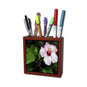 WhiteOak Photography Floral Prints - Pink Hibiscus with Raindrops Light Pink Hibiscus - Tile Pen Holders-5 inch tile pen holder