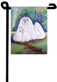 image link -  - B002GVJ4CQ