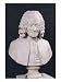 Bust of Francois Marie Arouet De Voltaire (1694-1778) 1778 Art Giclee Poster Print by...