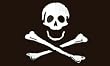 Pirate "Jolly Roger" (Poison) Flag - 3 foot by 5 foot Polyester (NEW)