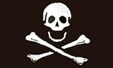 Pirate "Jolly Roger" (Poison) Flag - 3 foot by 5 foot Polyester (NEW)