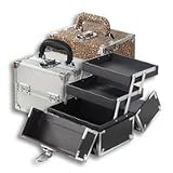 Japonesque Small Train Case - Silver