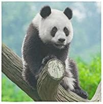 New Arrival! Cute panda Sitting On The Tree Trunk Soft Face Towel/Hand Towel/Bath Towel 13"x13"(One-sided Printing)