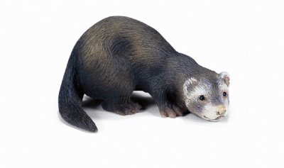 Schleich Ferret