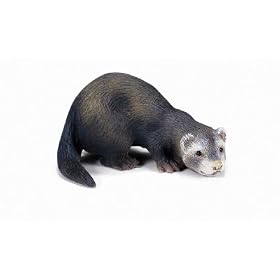 Schleich Ferret