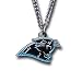 NFL Logo Necklace - Carolina Panthers