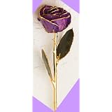 Gold-trimmed Purple Preserved Rose