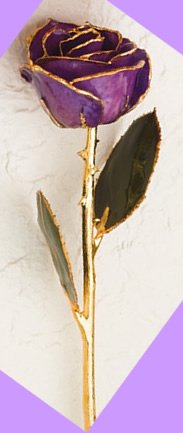 Gold-trimmed Purple Preserved Rose
