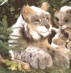 Eigenschaften Kösener 3560 / Kösener 3560 - Luchs, liegend