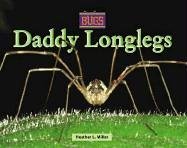 Insects