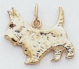 Scottish Terrier - A0845