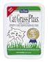 Cat Grass Plus Catnip Seeds - 4.75" X 1.5" X 6"