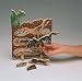Ant Lifecycle Puzzle