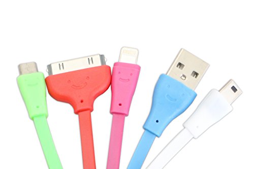 4 in 1 Phone Charger - USB with Four Chargers to Fit Every Phone - Fits Iphone Android Samsung Windows and Ipods and Ipads - Guaranteed to Fit Your Phone - Charges Four Different Phones At Once