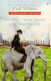The fall from grace of Harry Angel