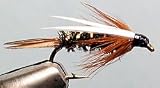 Prince Nymph Size: 12
