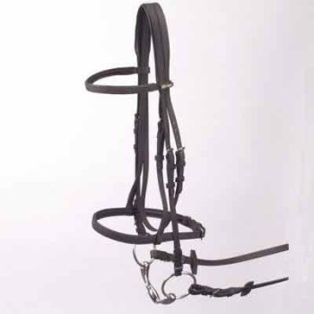 Wintec Bridle