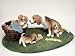 Beagle Figurine - Mom and Pups