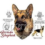 German Shepherd Womens Scoop Neck T-Shirt