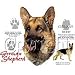 German Shepherd Adult T-Shirt