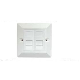 Cat5e Double Socket RJ45 Ethernet Network Face Plate