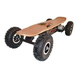 EMAD Dirt Rider Electric Skateboard