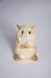 Holly Hamster Plush Toy 5"