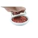 Faringdon Burger Press