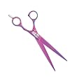 Oster Titanium 8-Inch Curved Scissor, Pink