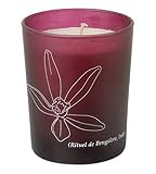 Aromatic Candle Bengalore, India 180g by Cinq Mondes