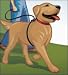 Weiss Walkie Dog Training Leash - Large/Black