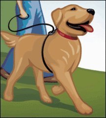 Weiss Walkie Dog Training Leash - Large/Black