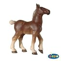 Breton Foal