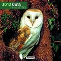 Owls / Eulen 2012