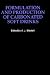 Formulation and Production Carbonated Soft Drinks