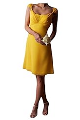 Cocktail Short Chiffon Evening Dress 