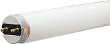 GE 10143 F15T8/CW