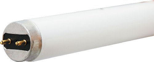 GE 26667 GE Cool watts 36/ct