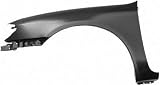 00-01 INFINITI I30 i-30 FENDER LH (DRIVER SIDE), W/O Hole (2000 00 2001 01) N220104 631013Y130
