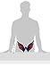 Fremont Die NHL Washington Capitals Vinyl Team Logo Magnet, 12