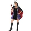 Sexy Evil Queen Costume for Women (Boots and Apple not included)