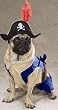 Zack & Zoey Pirate Pup Costume Med [Misc.] [Misc.]