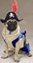 Zack & Zoey Pirate Pup Dog Halloween Costume with Hat & Feather Small