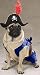 Dog Costume - Pirate Pup Dog Halloween Costume - X-Large (XL_