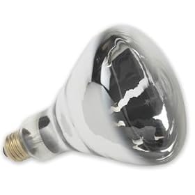 Durvet Supreme Lighting Heat Lamp Bulb White 250 Watt Pack Of 12 - 03504 6-01338 by DURVET SUPREME LIGHTING